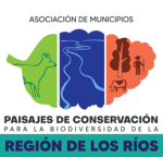 Impulso Sur | Marketing de Contenidos en el sur de Chile | Marketing Digital